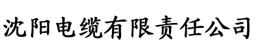 中国三级理论片电缆厂logo